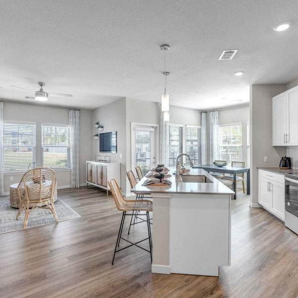 Kitchen and Living Room