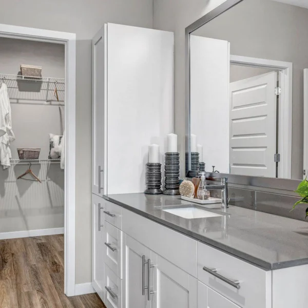 Bathroom Vanity